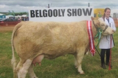 Belgooly Show past years