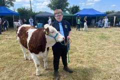 Cattle Classes 2024