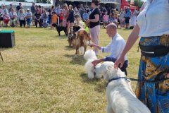 Dog Show 2024