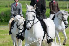 Horse and Pony 2024